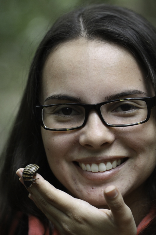 hissing cockroach